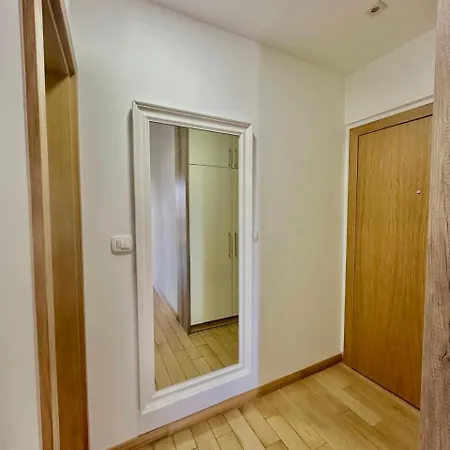 Drobnjak Center-sea View Apartment