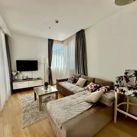 Drobnjak Center-sea View Apartment *