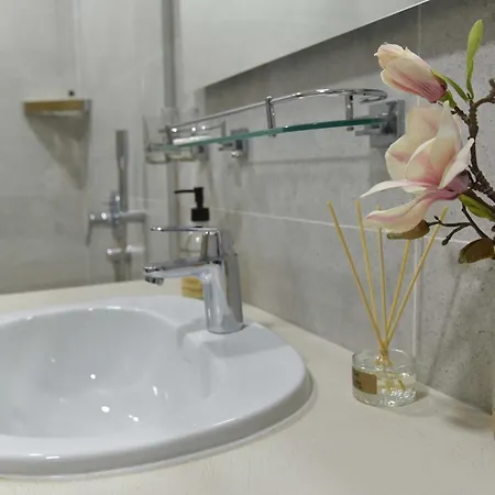 Drobnjak Center-sea View Apartment *